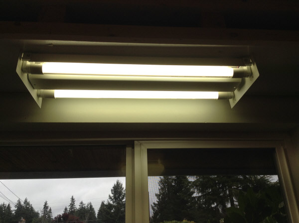 LED bulbs installed inside lamp