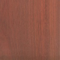 Bloodwood (sanded)