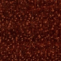 Bloodwood (endgrain 10x)